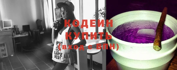 молекула духа Богданович
