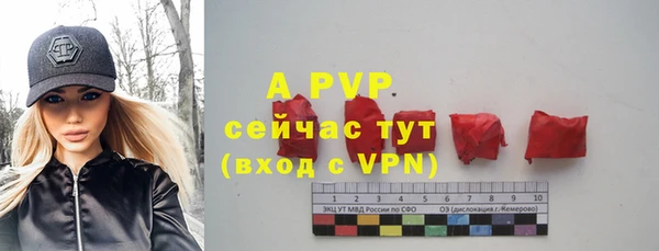молекула духа Богданович
