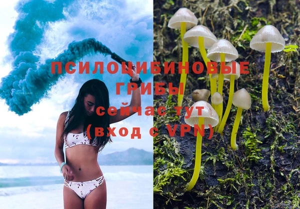кокаин Белокуриха