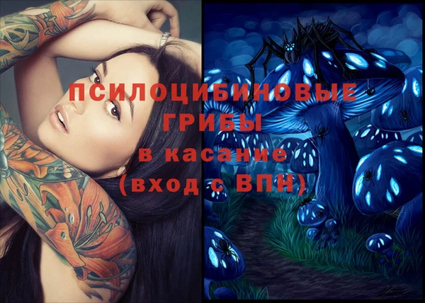 молекула духа Богданович