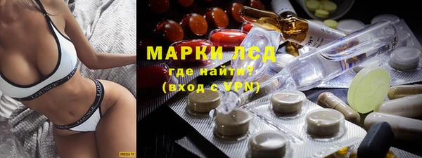 молекула духа Богданович