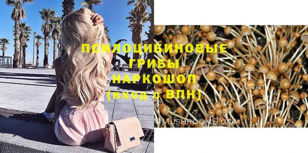 кокаин Белокуриха