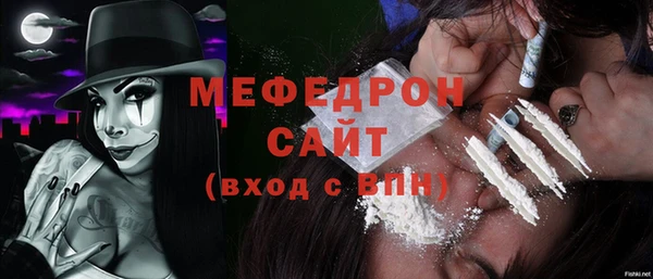 молекула духа Богданович
