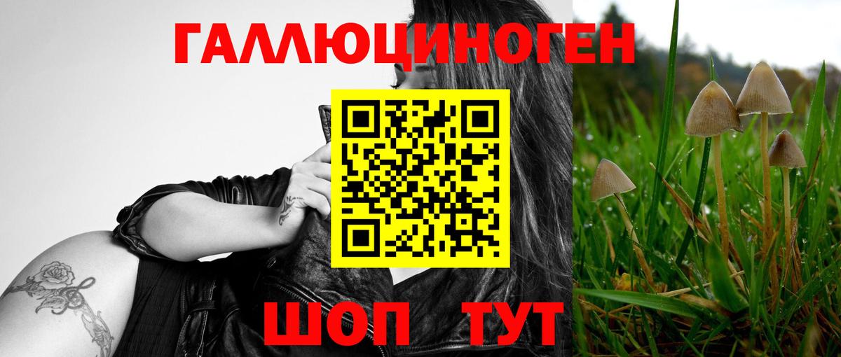 Гатчина  Псилоцибиновые грибы прущие грибы  Вход с VPN 